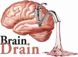 brain faucet
