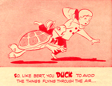 Bert the ducking turtle