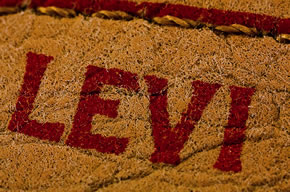 Levi jeans label