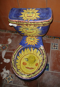 Mexican toilet