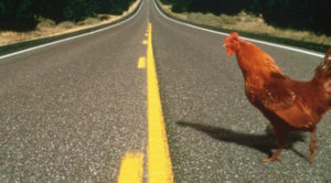 chicken_road_crossing