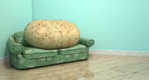 potato on sofa