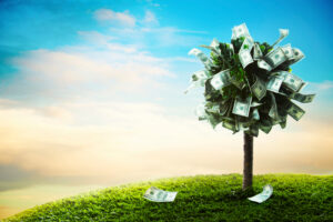 dollars growing on tree