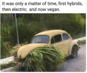 vegan joke